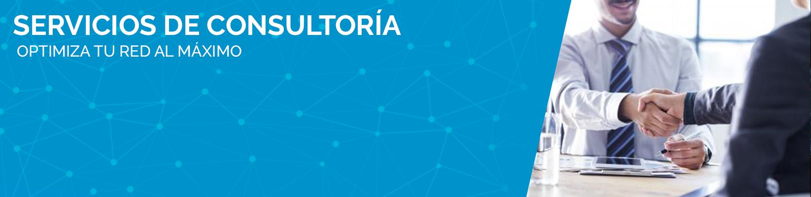 SERVICIOS DE CONSULTORíAS